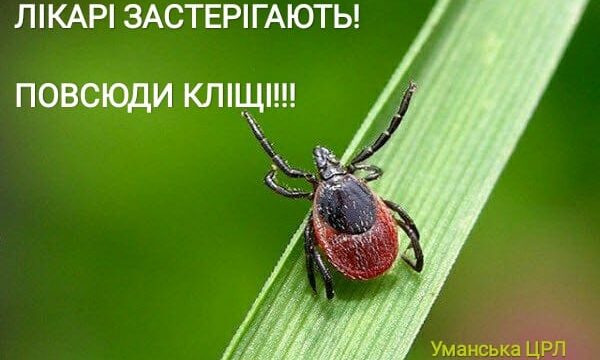 Обережно – кліщі!
