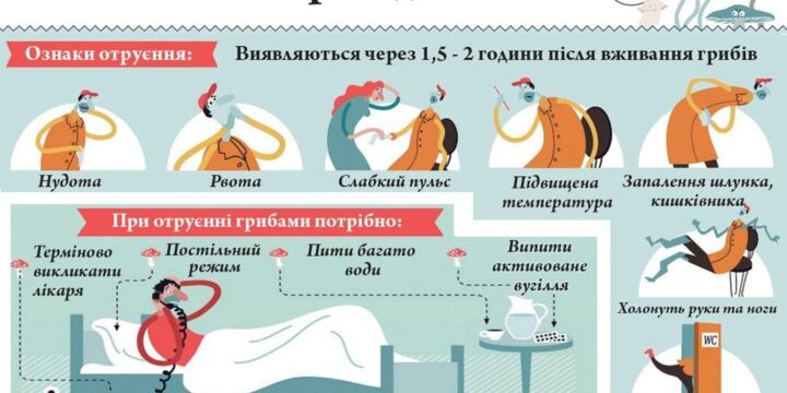 Отруєння грибами: профілактика та перша допомога