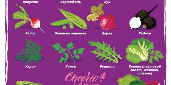 Одни из самых полезных продуктов мая, которые необходимо включить в свой рацион
