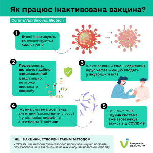 Як працюють різні типи вакцин?