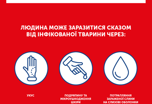 ЧИМ НЕБЕЗПЕЧНИЙ СКАЗ?