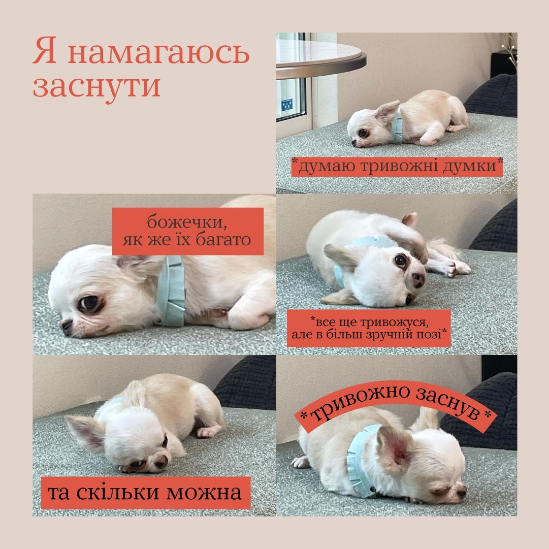 Психіка потребує відновлення, і сон абсолютно незамінний у цьому