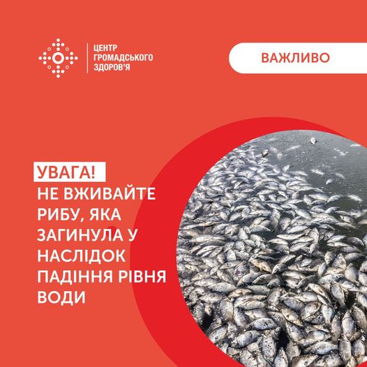 Про мор риби та небезпеку від її вживання!