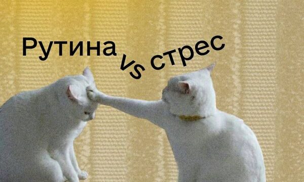 Поради для повернення спокою