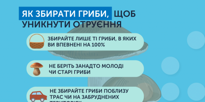 Як потрібно збирати та вживати гриби: поради