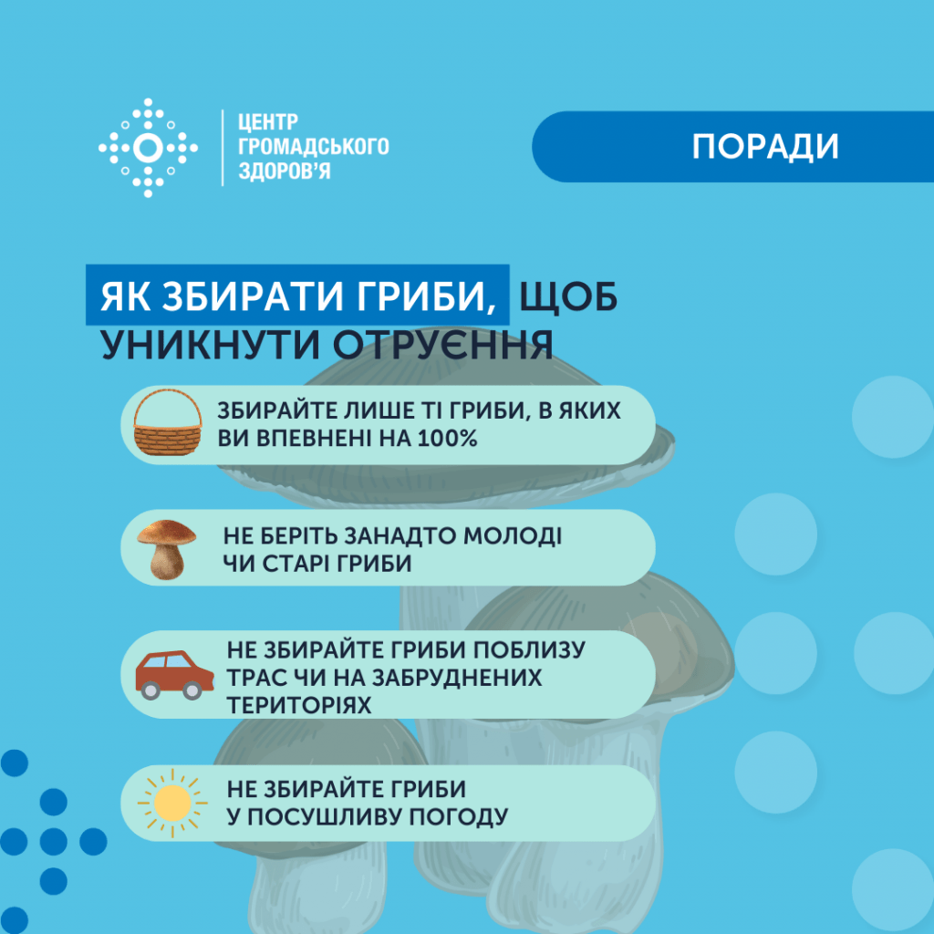 Як потрібно збирати та вживати гриби: поради