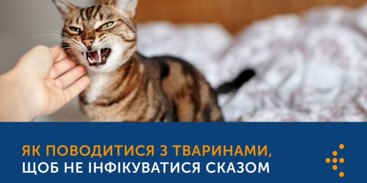 ЯК ПОВОДИТИСЯ З ТВАРИНАМИ, ЩОБ НЕ ІНФІКУВАТИСЯ СКАЗОМ