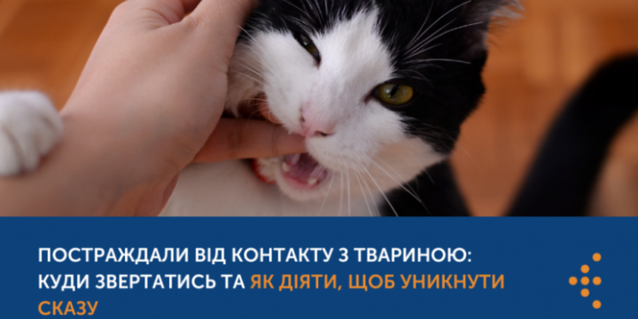 ПОСТРАЖДАЛИ ВІД КОНТАКТУ З ТВАРИНОЮ: КУДИ ЗВЕРТАТИСЬ ТА ЯК ДІЯТИ, ЩОБ УНИКНУТИ СКАЗУ