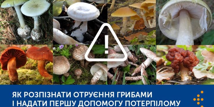 ОТРУЄННЯ ГРИБАМИ: ЯК УНИКНУТИ, ВИЯВИТИ ТА ДОПОМОГТИ