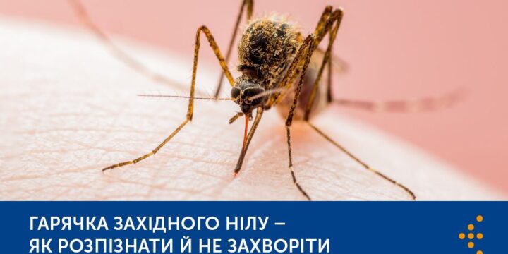 Гарячка Західного Нілу — як розпізнати й не захворіти