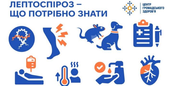 Лептоспіроз: що потрібно знати