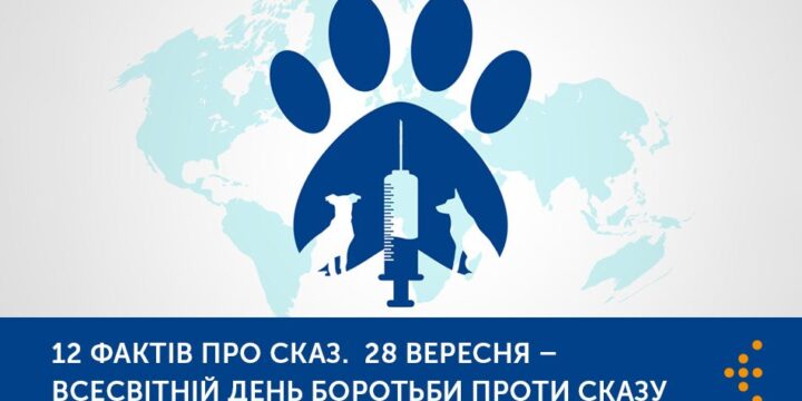 12 фактів про сказ
