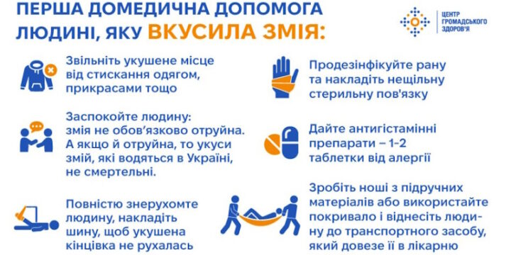 Як уникнути укусу змій та що робити після укусу