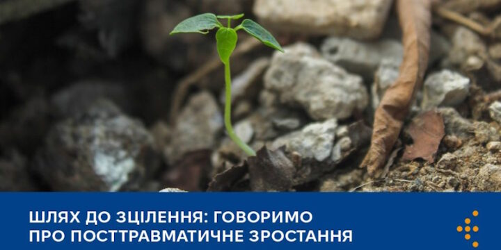 Шлях до зцілення: говоримо про посттравматичне зростання
