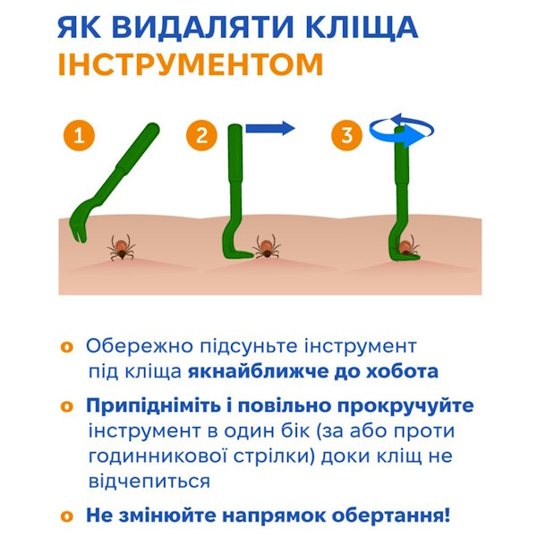 Почався сезон кліщів: поради, як уберегтися, як витягати, куди звертатися після укусу