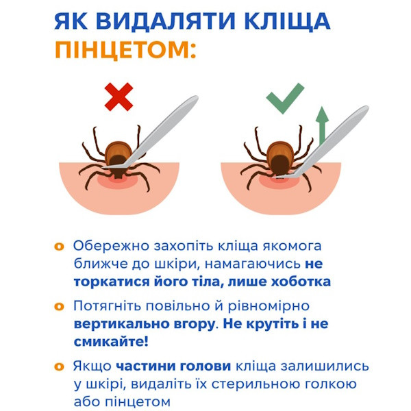 Почався сезон кліщів: поради, як уберегтися, як витягати, куди звертатися після укусу