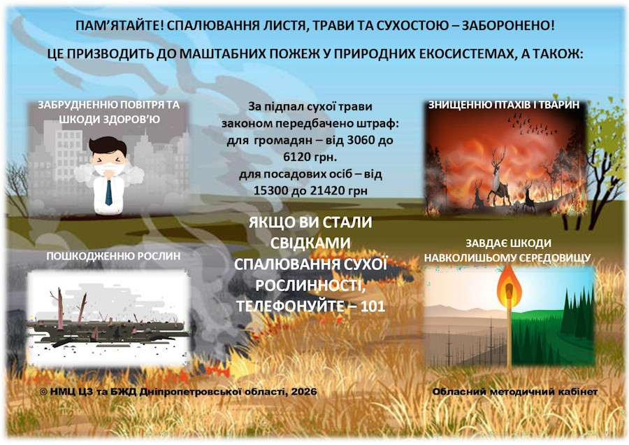 Спалювання листя – небезпека для здоров’я людини та велика шкода довкіллю!